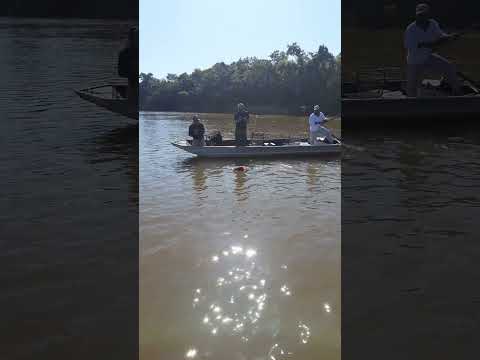 PIRARARA NO RIO ARAGUAIA - BARREIRA DA BENVINDA - SÃO MIGUEL DO ARAGUAIA