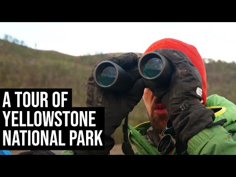 A Tour of Yellowstone National Park RTP Travel Vlog