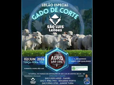 São Luís de Montes Belos - GO   02/06/2026