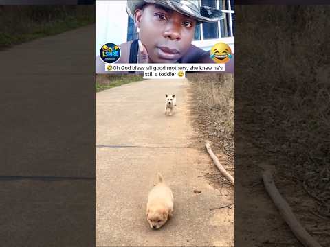 Lets go home 🤣 #short #pets