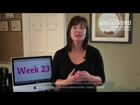 23 Weeks Pregnant - Your 23rd Week Of Pregnancy
