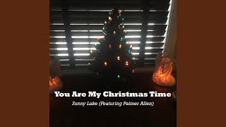 You Are My Christmas Time (feat. Palmer Allen)