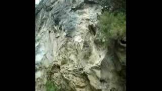 preview picture of video 'elbedymar Descenso Rio Verde 2009'