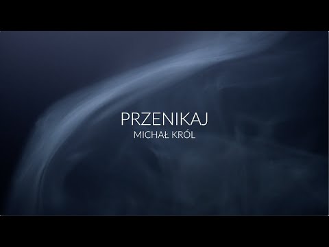 Michał Król - Przenikaj (lyric video)