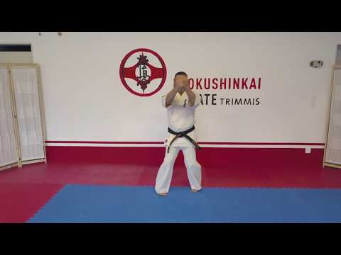 9.Kyu Kyokushinkai Kyhon