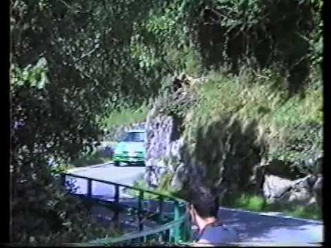 Rally Vallecamonica...1996