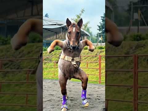 #horse #cavalo #fy #ia #animals #reels #fypage #fypage #fypyoutube #animals #animais #animalshorts