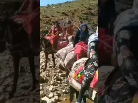 HOÇWAN TV - Doğunun cesur kadınları