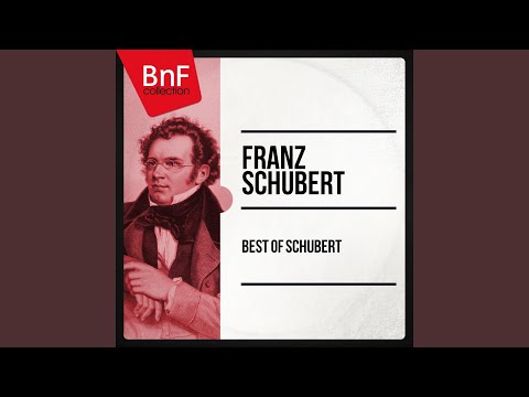 Trio pour piano et cordes in B-Flat Major, Op. 99, D. 898: I. Allegro moderato