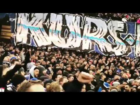 Hamburger SV - FC Köln 07.02.2017