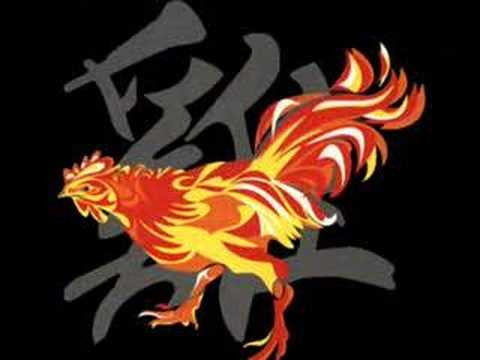 "El Gallito de Oro (♫)" -Cumbia Colombiana-