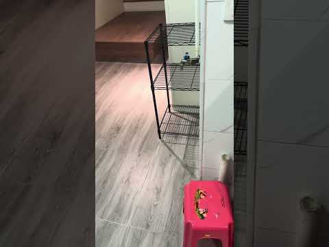 Chinese Mansion Youtube Video