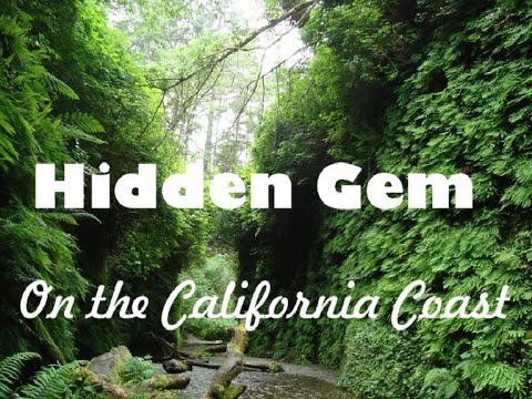 Fern Canyon Hidden Gem