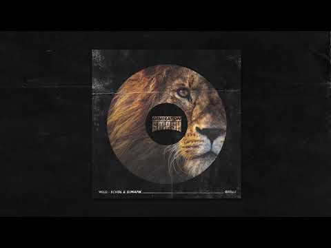 SCNDL & Dimatik - Wild