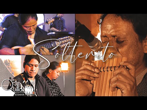 Solterito | Quillas
