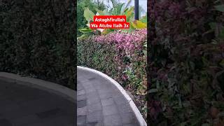 Download lagu Astaghfirullah Wa Atubu Ilaih 3x #syeikhalijaber#amalan#dzikir#istighfar#astaghfirullah#selfreminder mp3