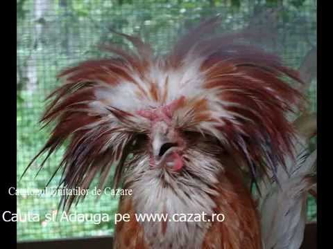 Cazare Fundatura, Bacau - Cazat.ro