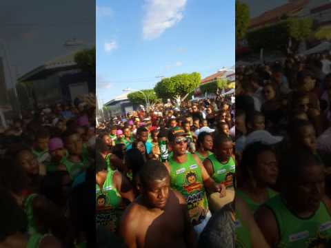 - Lavagem De Pedrão 2017