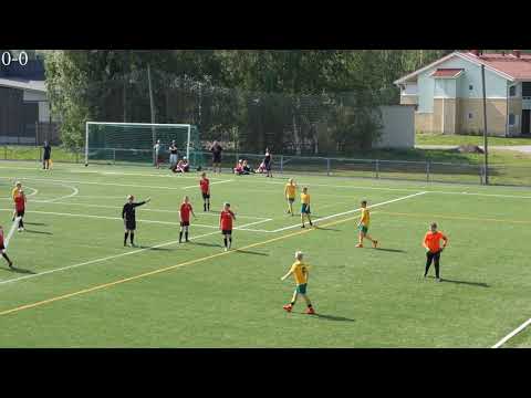 Tervarit P06 - Haupa P06, 8-6-2019