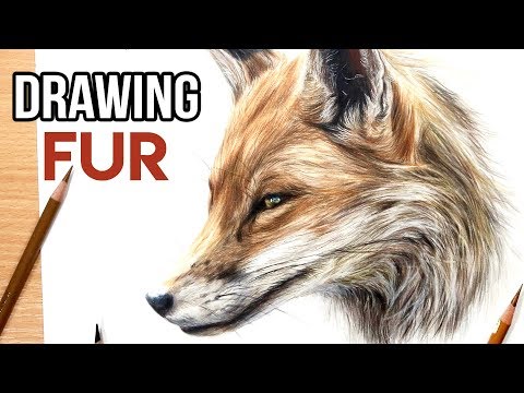  how to draw realistic fur with coloured pencil drawing tutorial by kirsty partridge art