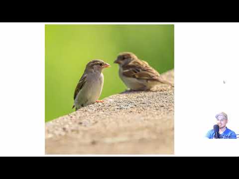 Ich beurteile eure Bilder/Bildkritik Nr. 11