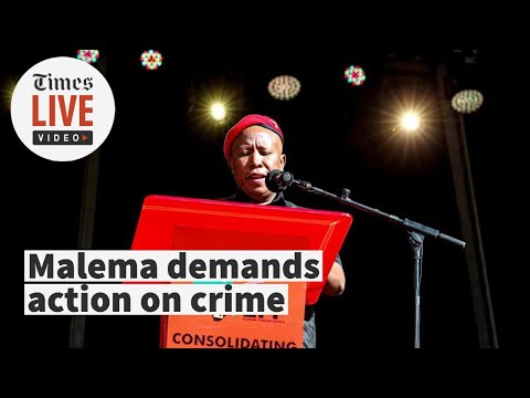 'Criminals can't have more rights than law abiding citizens', says Malema as EFF celebrates 9 years