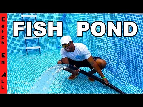 TIME for FISH in the POOL POND!