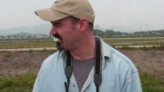 preview picture of video 'Birding in South Korea'
