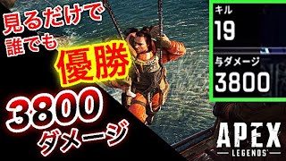 【APEX】見て真似できる世界１位のプレイ19キル3800ダメージ