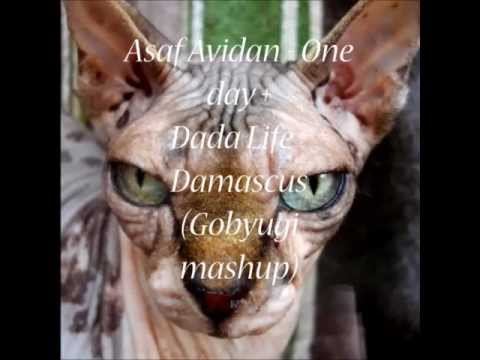 Asaf Avidan - One day (Gobyugi mashup)