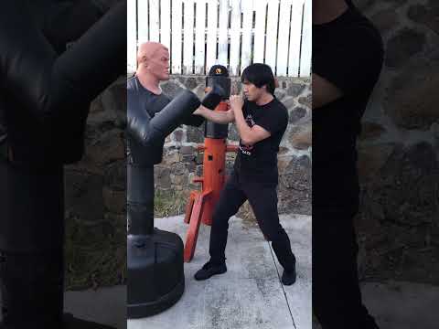 Wooden Dummy Set One Application Tutorial #shorts #wingchun #kungfu #jkd