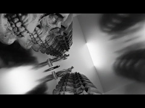 GONNAFLY - KING OF SKULL (Official Music Video)