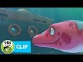 DINOSAUR TRAIN Maisie Doesn T Like To Dive Deep PBS KIDS