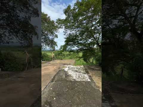 Separa con 6 millones tu  Lote en Melgar Tolima