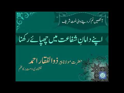 Munajaat | Apne damaan e Shafat me | Peer Zulfiqar Ahmad Naqshbandi db