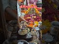 Daily Live Darshan Maa Chintpurni Darbar Jaimatadi Sonuchintpurni Chintapurni