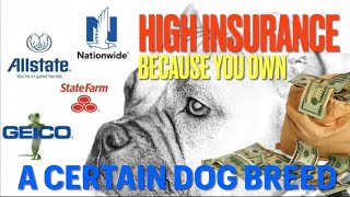 PAY LESS. What Dogs Raise Home Owners Insurance? SAVE NOW Your Dog Can CANCEL A POLICY Unexpectedly!