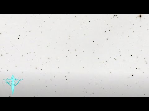 SIERRA KIDD • ICH BIN DOWN UND DIE WELT SCHAUT ZU