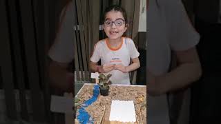 Como Fazer Uma Maquete Do Bioma Caatinga