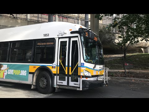 A Very Blue Cynical Ride | Yoshi's Ride Series {S7-E05}- Riding the 43 🚌 - {MBTA}
