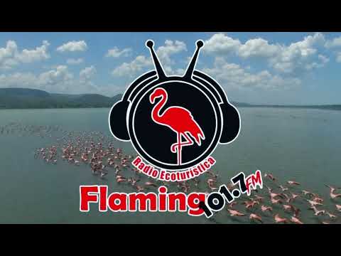 Radio Flamingo Network - Boca de Uchire