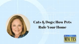 Cats & Dogs: How Pets Rule Your Home