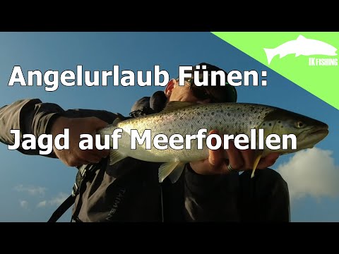 Expedition: Küstenfieber: Angelurlaub Fünen: Jagd auf Meerforellen