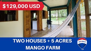 Ranch Style Two Houses for Sale in Belize on 5 Acres of Land - Belize Real Estate Agent