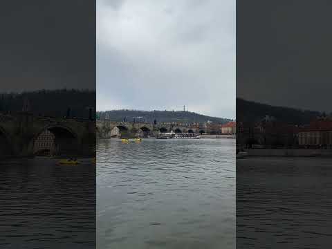 Parnik Labe e Karlova mostu