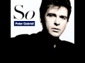 Peter Gabriel - We Do What We're Told (Milgram's 37)