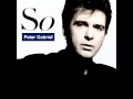 Peter Gabriel - We Do What We're Told (Milgram ...