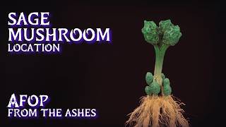 Sage Mushroom Location • AFOP From the Ashes