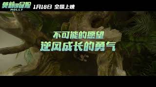 Check, Check, Can You Hear Me Official Trailer | 莫莉的冒险