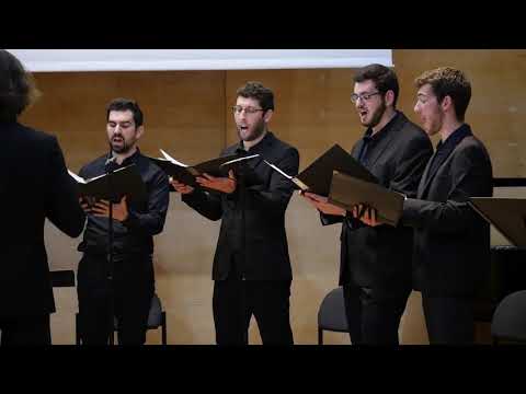 Cecilia Ensemble - Daniel Akiva - Sirkiji